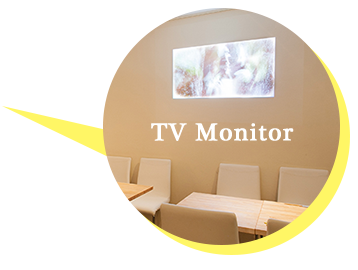 TV Monitor